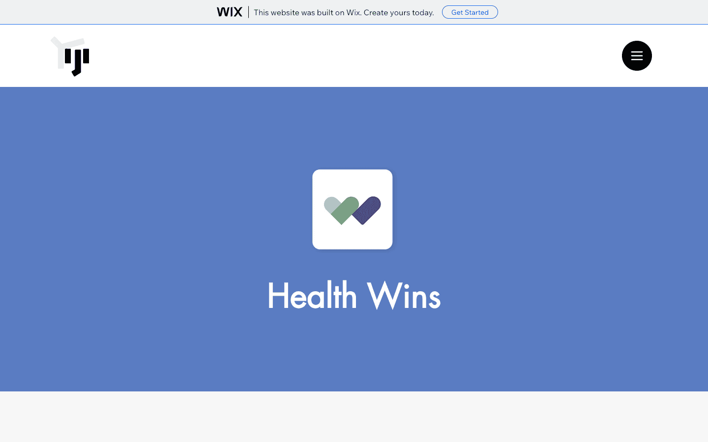 Health Wins logo and brand screens from the old portfolio archive.